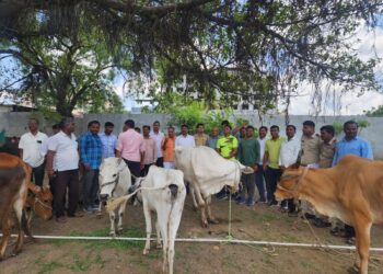 कत्तलीसाठी नेण्यात येणाऱ्या 98 गो वंशाची सुटका.