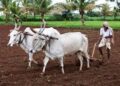 प्रधानमंत्री किसान सन्मान निधी योजनेचा 17 वा हप्ता शेतकऱ्यांच्या खात्यात कधी जमा होणार?