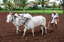 प्रधानमंत्री किसान सन्मान निधी योजनेचा 17 वा हप्ता शेतकऱ्यांच्या खात्यात कधी जमा होणार?