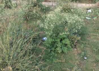 ३० जानेवारीला उपोषणाचा दिला इशारा.