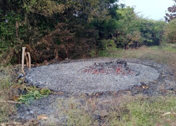 अज्ञाताने आग लावून मका जाळली;-गलवाडा शिवारातील घटना