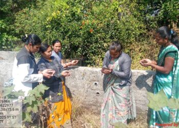 सिल्लोडच्या रणरागिणींची ‘सेंद्रिय’ भरारी!