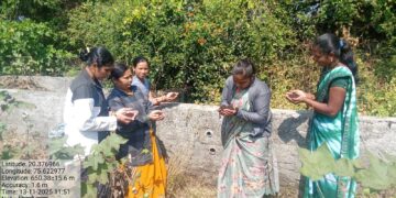 सिल्लोडच्या रणरागिणींची ‘सेंद्रिय’ भरारी!