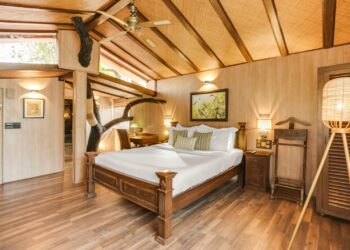 ट्री हाउस रिज़ॉर्ट जयपुर: गुलाबी शहर के बाहरी इलाके में प्रकृति गोद में स्थित शानदार स्थान