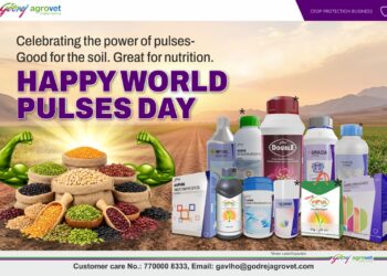 शेतकरी संपर्कासह गोदरेज अ‍ॅग्रोव्हेटने जागतिक डाळ दिन साजरा केला